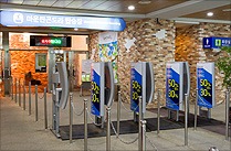 2025/2026 하이원리조트 스키장 시즌권 렌탈 할인 완벽 가이드