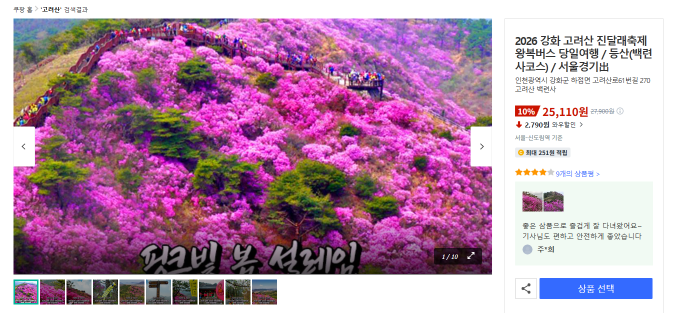 파랑새투어 버스 투어