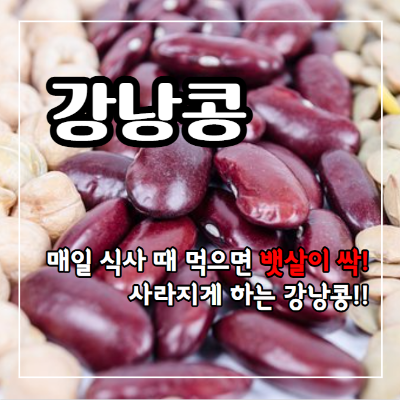 강낭콩 효능 13가지 및 부작용