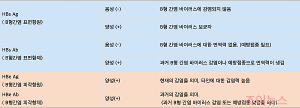 B형간염 항원 항체 검사 결과해석