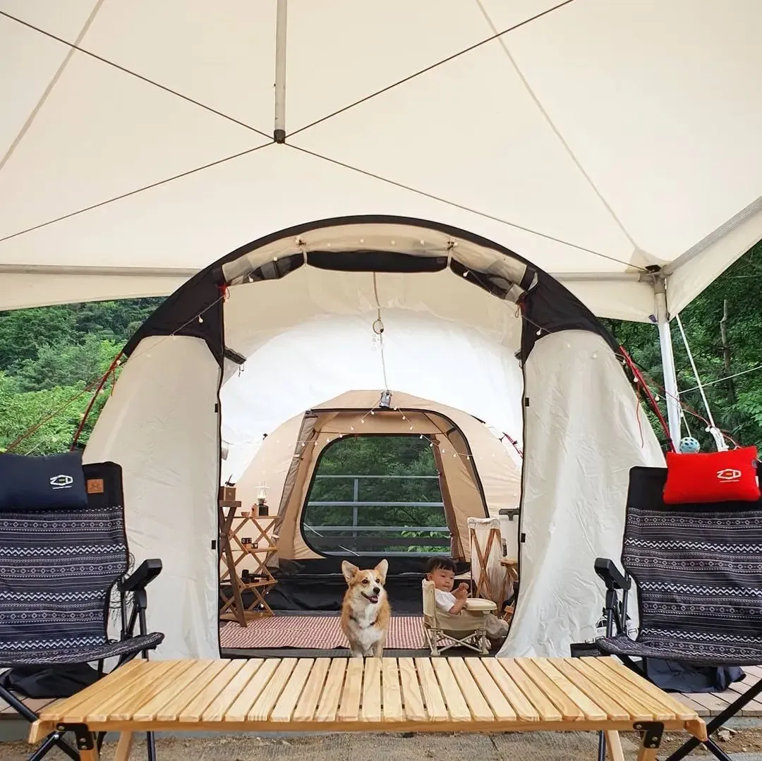 서울 마포 반려동물 캠핑장 도심 속 힐링 명소 가이드_2