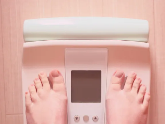 적양배추 포만감 유지