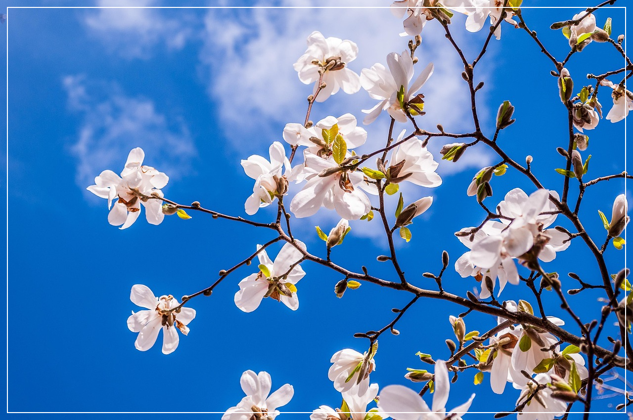 도심 속 작은 동화를 떠올릴 수 있는 주말여행지 서울숲