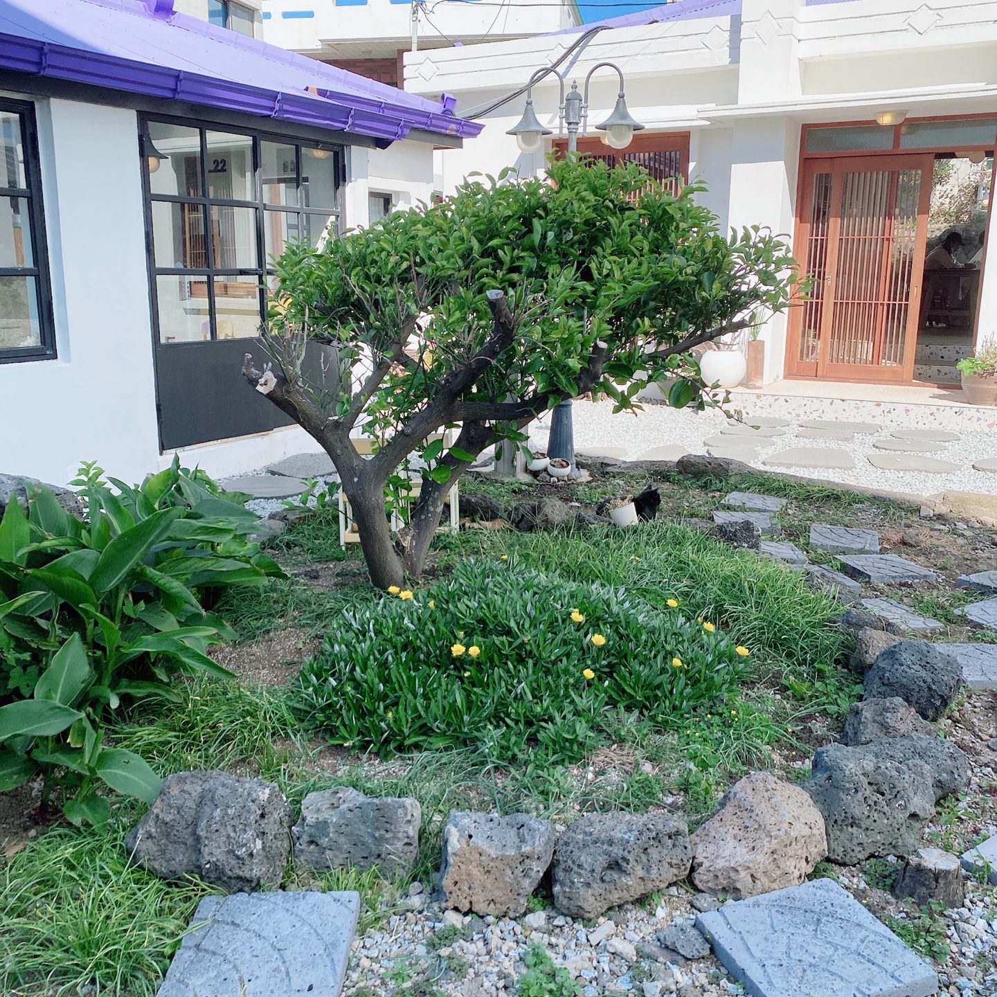 제주 애월 고내포구 보라지붕 주택개조 카페달력