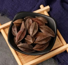 사군자열매-사진1