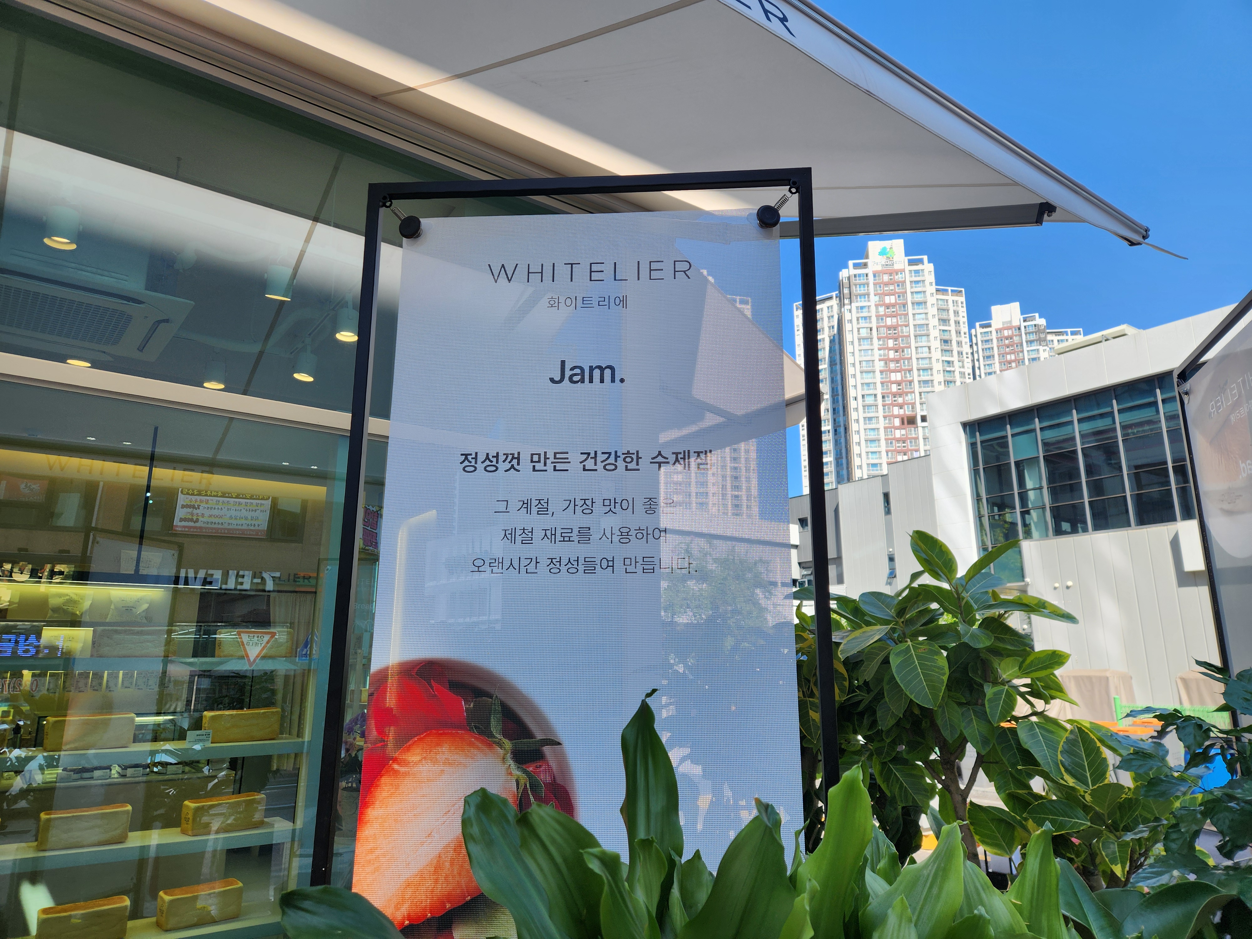 화이트리에 하늘도시점