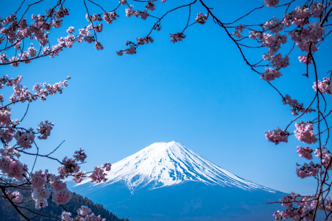 Tokyo.