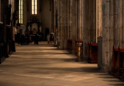 전광훈 목사 프로필