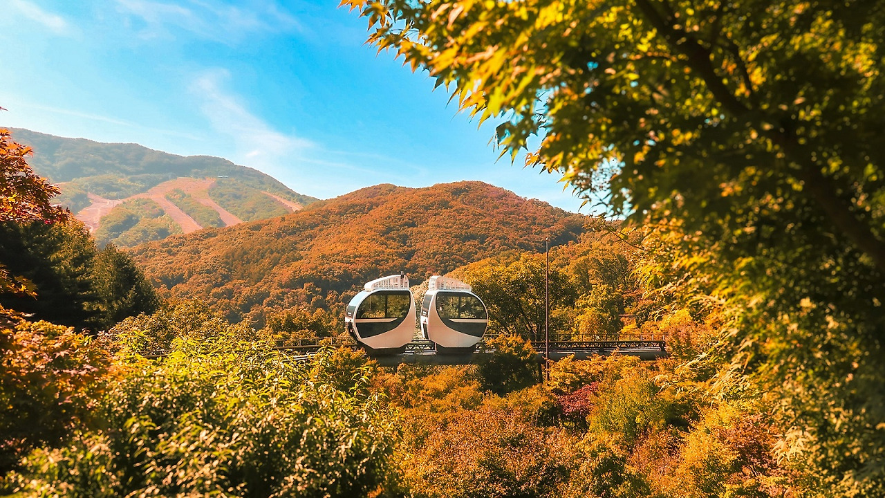 화담숲 예약 경쟁 피하는 법｜조용히 즐기는 시간대 공개