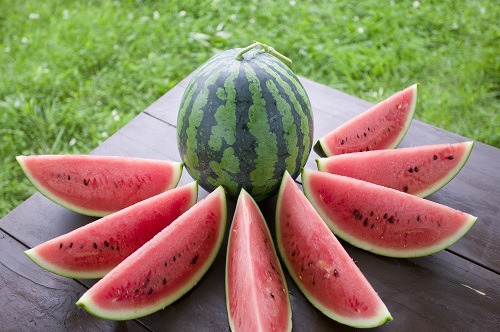 2024년 초복 중복 말복에 먹으면 좋은 음식