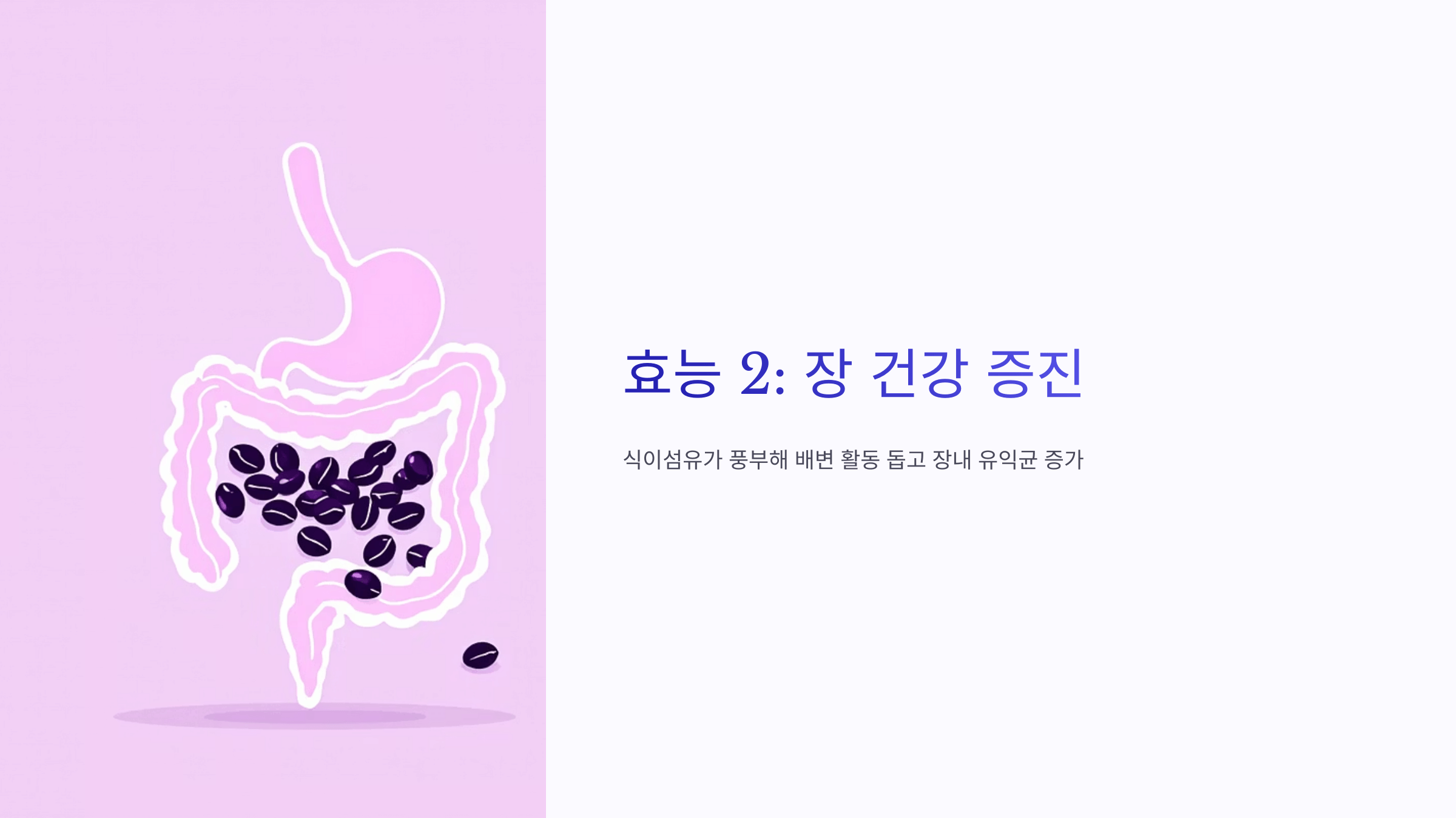 쥐눈이콩 사진입니다.