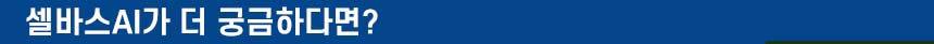 셀바스AI_사이트