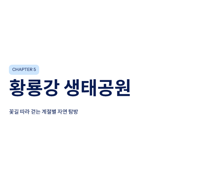 광주광역시 근교 산책&middot;달리기&middot;트레킹 명소 완벽 가이드 &amp;#124; 주말 액티비티 추천