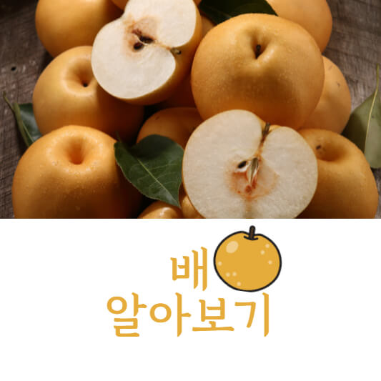 배