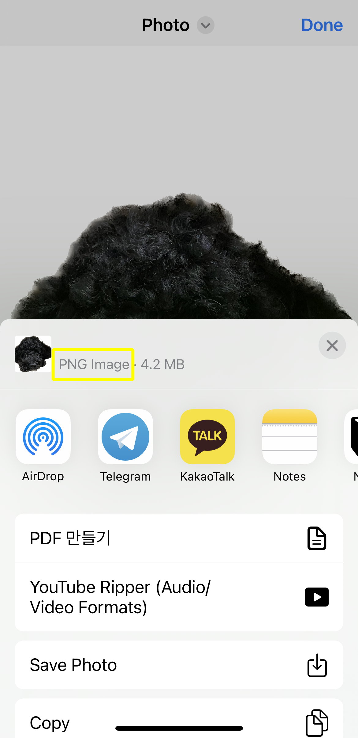 아이메시지로 보낸 대상 추출 이미지 PNG 파일 공유
