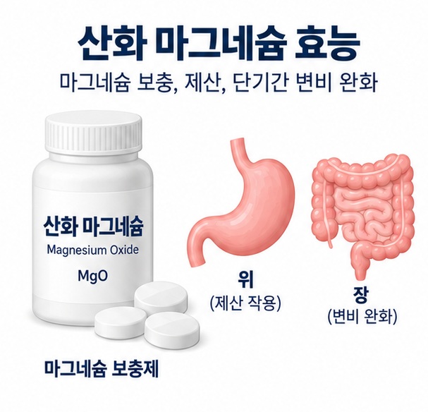 산화 마그네슘 효능과 마그네슘 보충 변비 완화 제산 작용을 설명한 건강 정보 이미지
