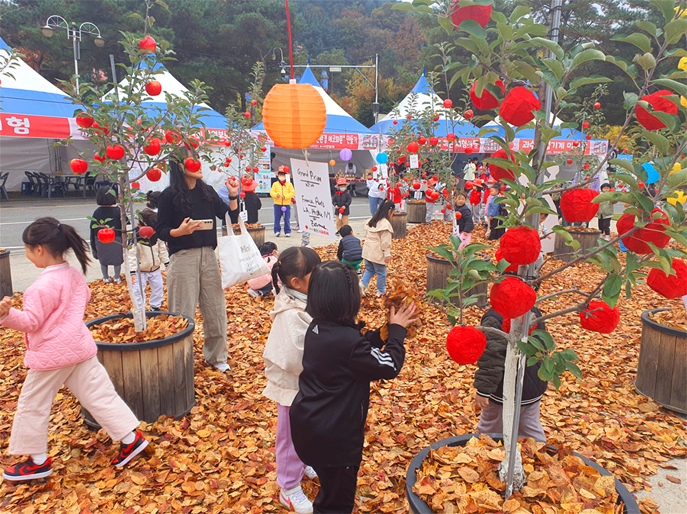 홍천사과축제