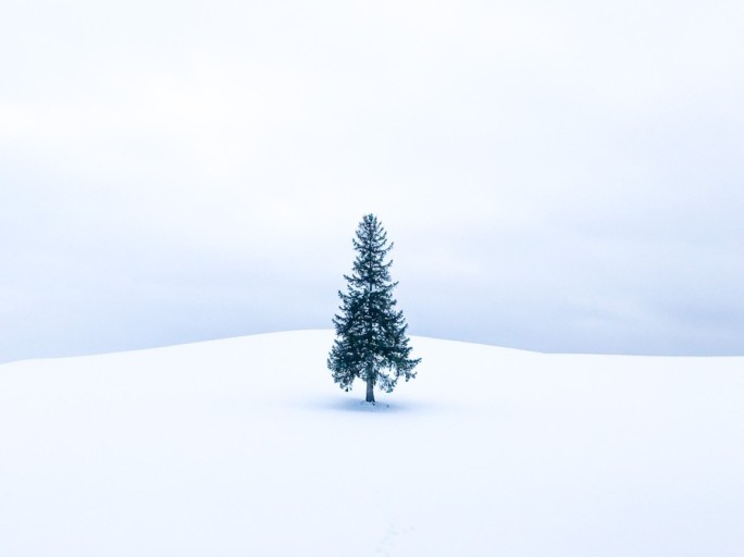 설연휴 해외여행지