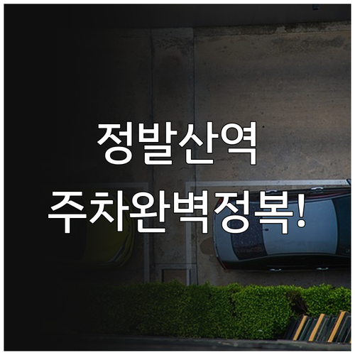 일산동구청 및 정발산역 주변 공영주차..