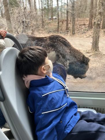 에버랜드 자유이용권 할인 최신 정보