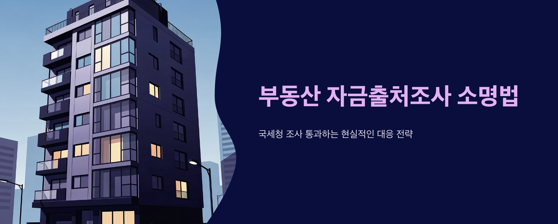 "부동산 자금출처조사 소명법" 문구 이미지