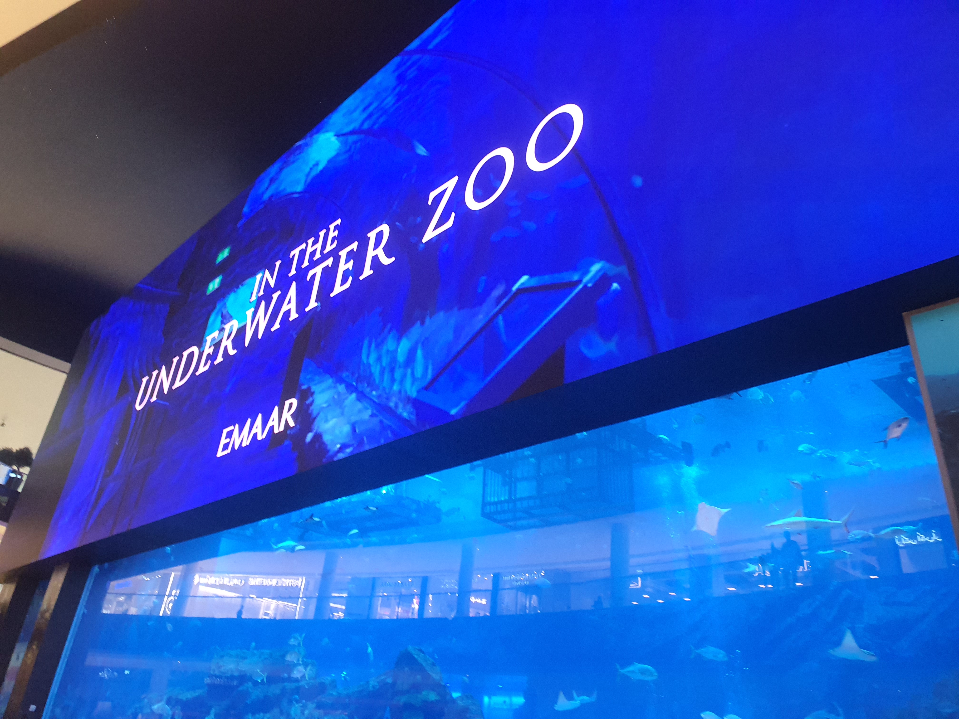 두바이 두바이몰 쇼핑 가이드