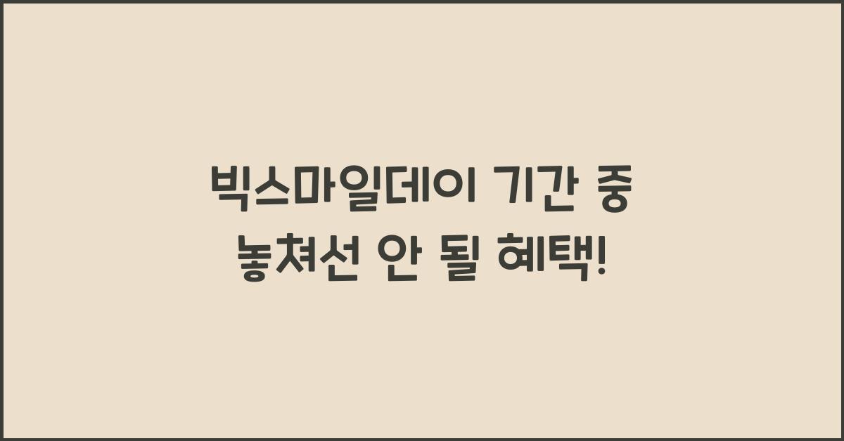 빅스마일데이 기간