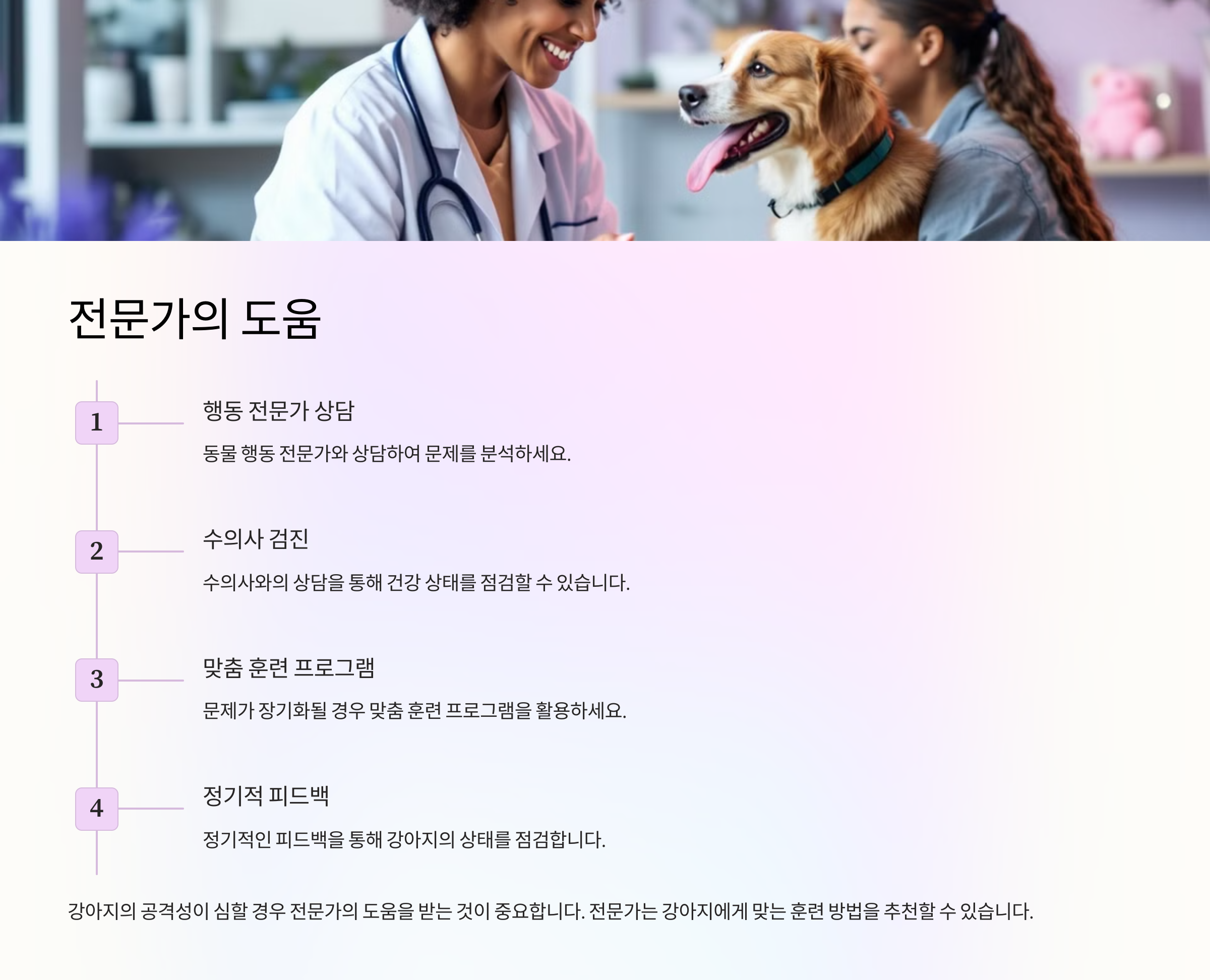 전문가의 도움