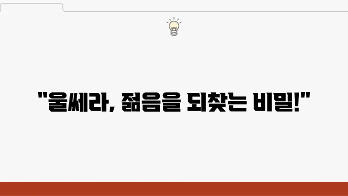 울쎄라 시술 효과와 주의사항