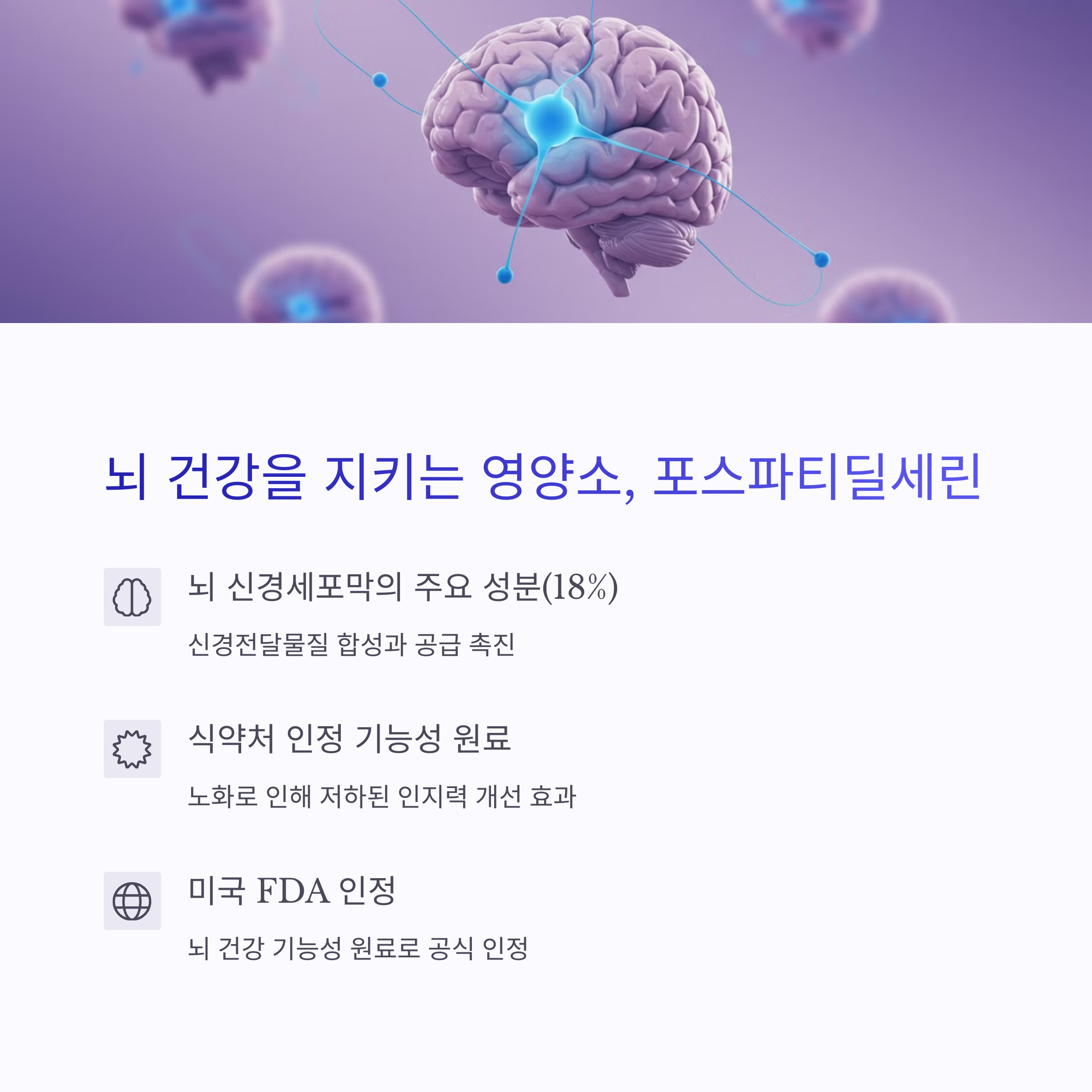 뇌건강을지키는포스파티딜세린