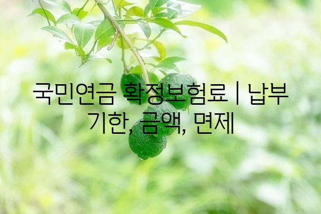 랜덤064