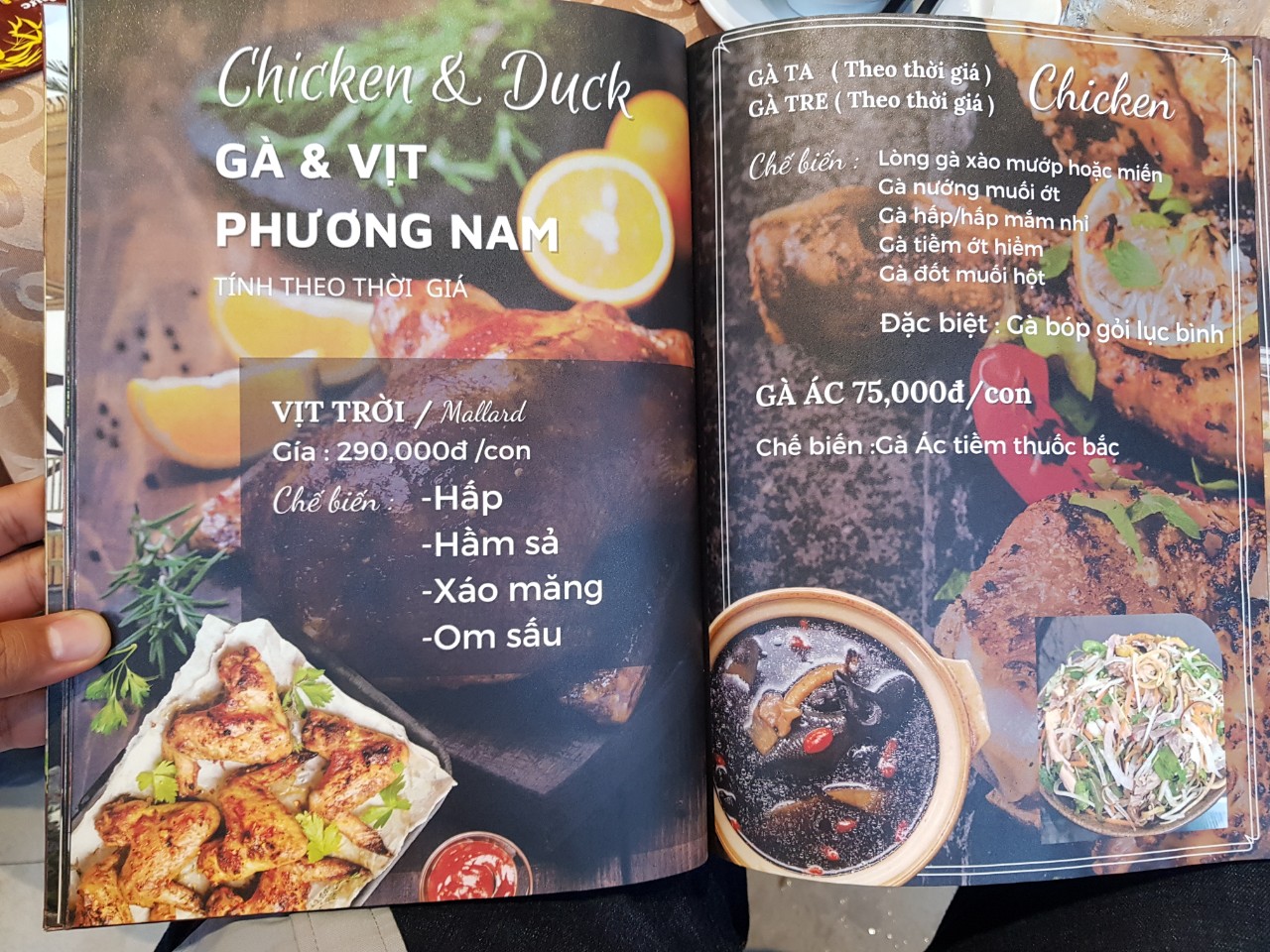 동나이 롱탄 로컬 맛집 Am Thuc Phuong Nam 메뉴(9)