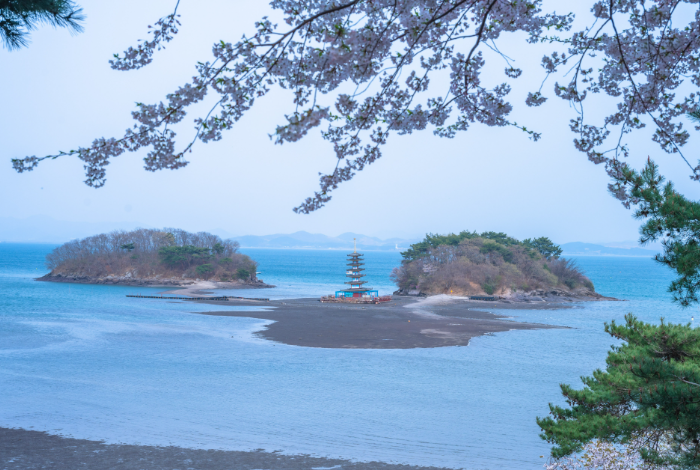 태안 안면암 가는 길부터 포토존 명소까지 완벽 가이드
