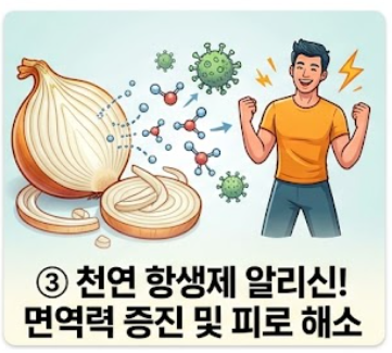 양파 보관법