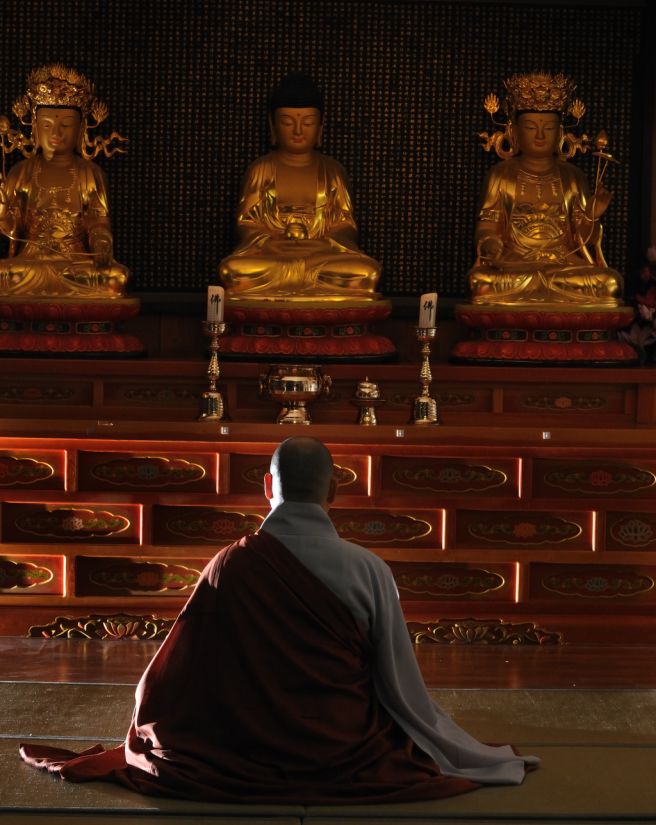 성진스님 프로필