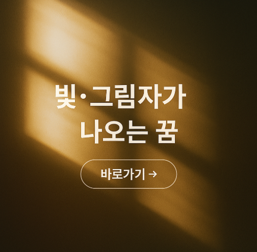 빛. 그림자가 나오는 꿈