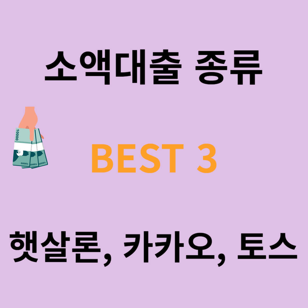 소액 대출 종류