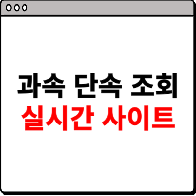 과속 단속 조회 실시간 사이트