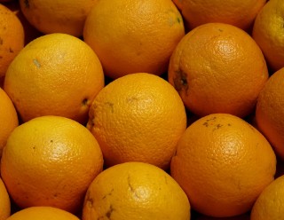 독감에 좋은 음식