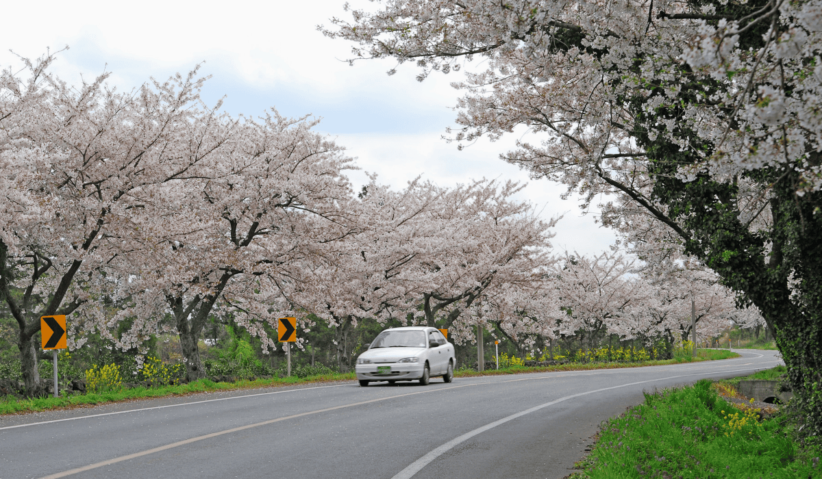 제주_렌트카_요금표_12