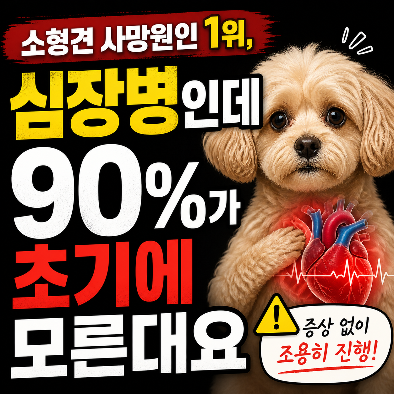 소형견 사망원인 1위, 심장병인데 90%가 초기에 모른대요
