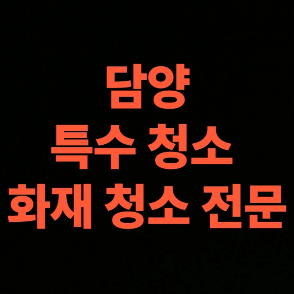 담양 화재청소 전문