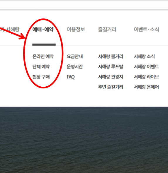 제부도 해상 케이블카 요금