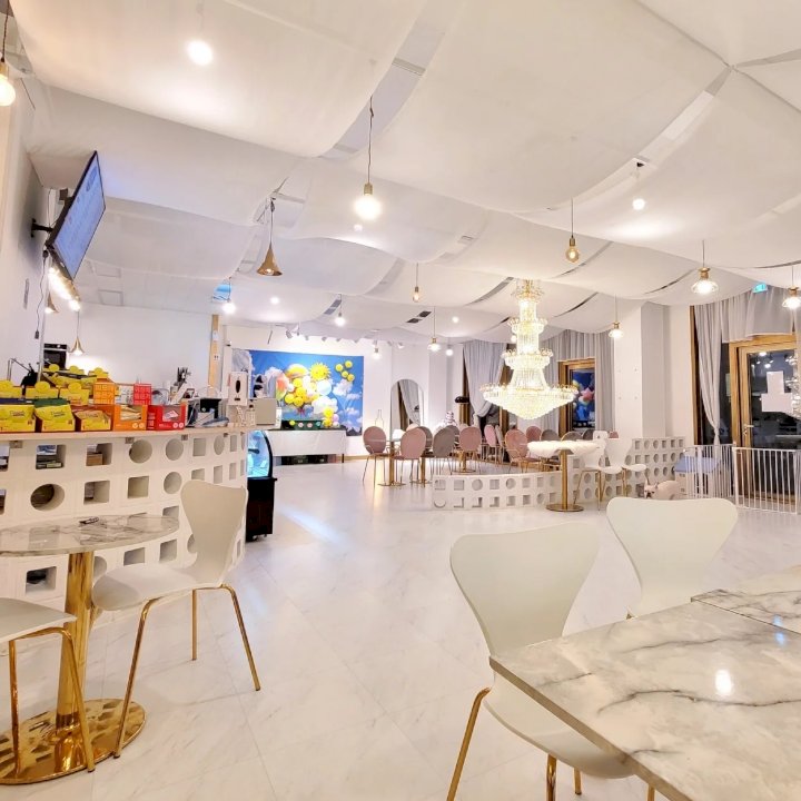 애견 카페 크고 괜찮은 곳4