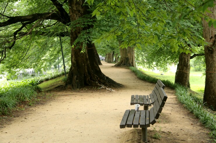 담양 가볼만한곳 베스트10