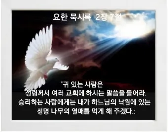 요한 묵시록 8장 일곱째 인과 첫째 나팔 심판의 시작_26