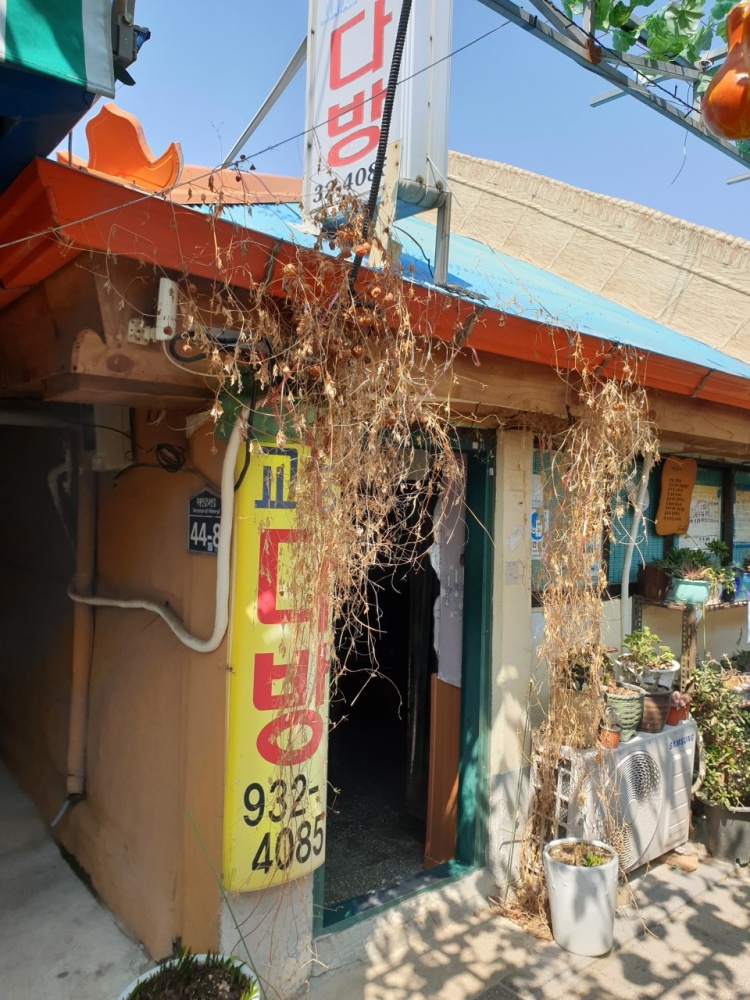 생방송 투데이 섬 여행 당일치기 힐링 코스 강화도 교동도 맛집 액티비티 오션뷰 카페 위치