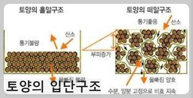 입단구조(떼알구조)