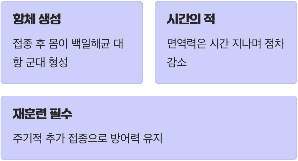 유효기간이 있는 방패, 우리 몸의 면역력