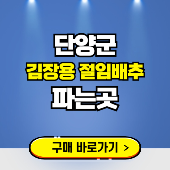 단양군 절임배추 사전예약 구입하는곳 ❘ 김장배추 파는곳 가격보기